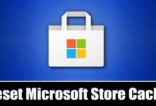 How to Clear Microsoft Store Cache in Windows 11