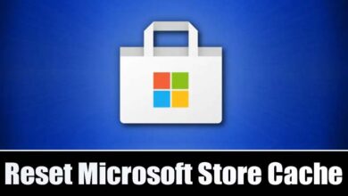 How to Clear Microsoft Store Cache in Windows 11