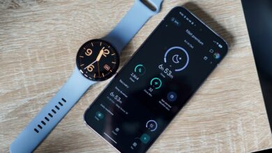 Google Extends Fitbit Account Migration Deadline Again